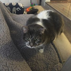 Meet your Posher, Daniel